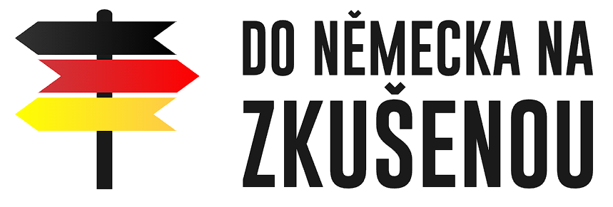 Logo dnnz (png)